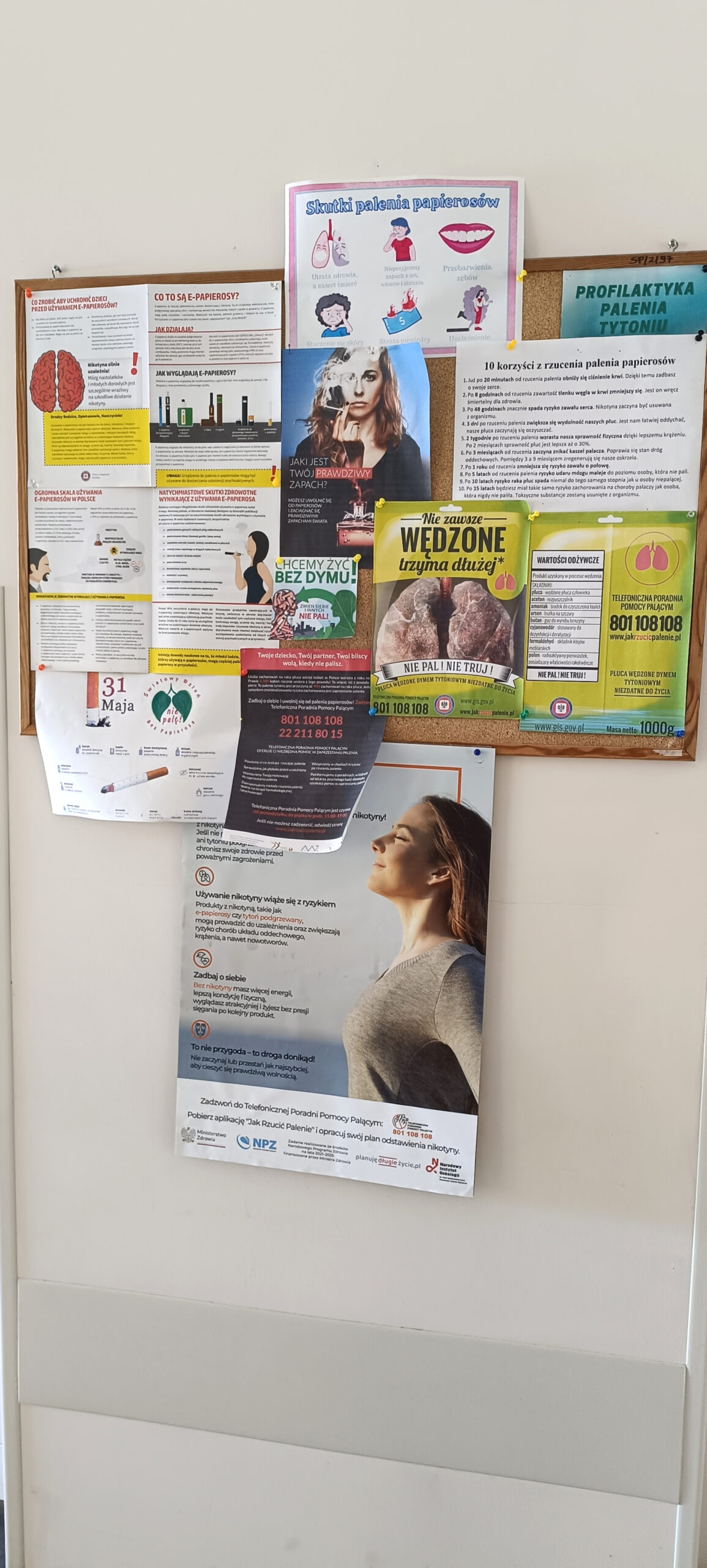 Tablica korkowa wypełniona zawieszonymi ulotkami dotyczacymi szkodliwości spożywania tytoniu