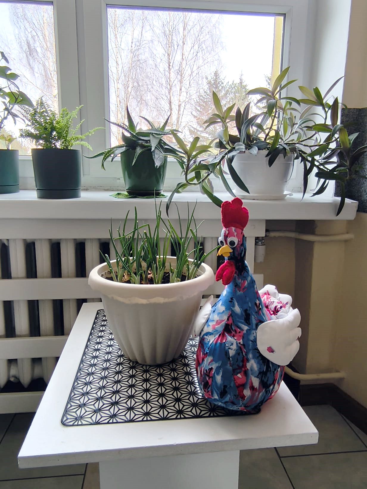 świąteczna , wielkanocna kura a obok donica z rzeżuchą w tle parapet z roślinami w donicach. Stolik kawowy